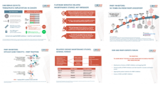 Experts Forum on DDR and PARP inhibition in Tokyo and Singapore, January 2020 » COR2ED