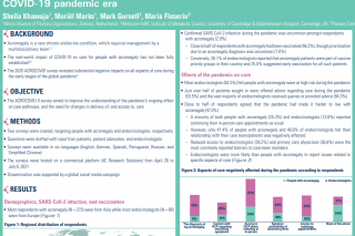 ACROCOVID II Poster