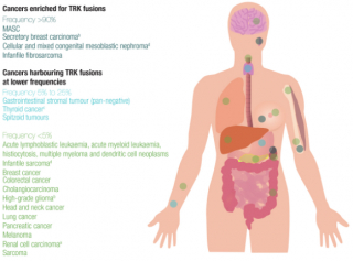 TRK fusion cancer ESMO OncologyPRO screenshot