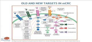 Review paper on challenging chemoresistant metastatic colorectal cancer