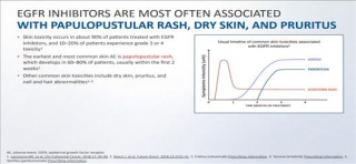 skin toxicity related to targeted therapy