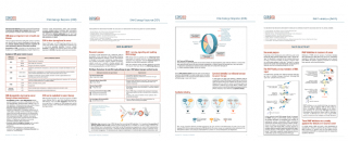 The role of DDR and PARP inhibition (PARPi) in oncology » COR2ED