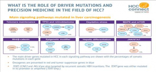 Systemic treatment for advanced hepatocellular carcinoma