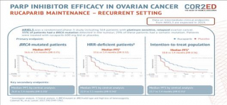 E-learning The role of PARP inhibition in clinical practice » COR2ED